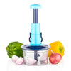 Hand-press vegetable and fruit chopper