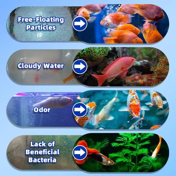 Fish Tank Water Purifier Algae Remover 100ml Pack of 1