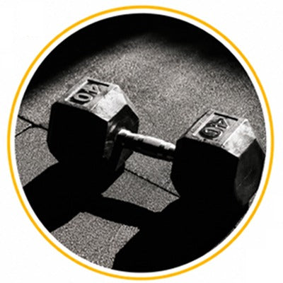 Fitness & Wellness